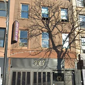 Cozy Fully Furnished Near Prospect Park & Public Transport New York